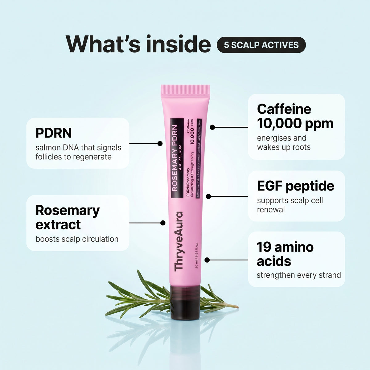 Rosemary PDRN Scalp-to-Hair Strengthening Care